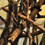 08 Cahos Factory 0214