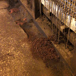 19 Cahos Factory 0559