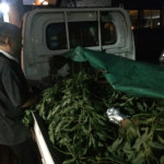 33 Cahos Factory 5489