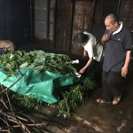 34 Cahos Factory 5494